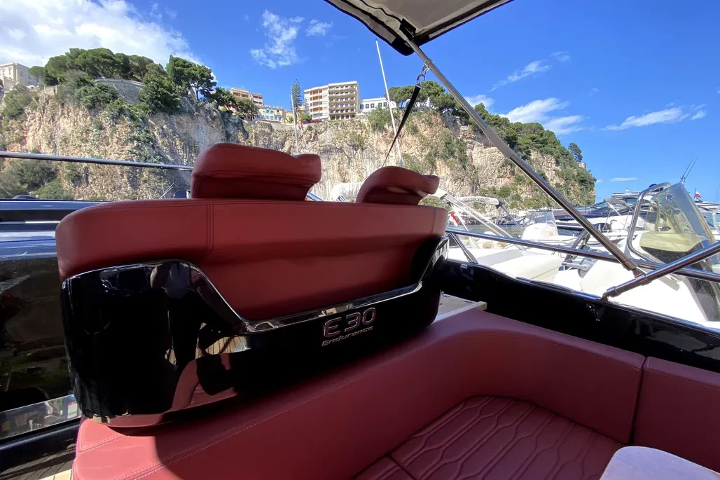 E30 ENDURANCE - Image 3